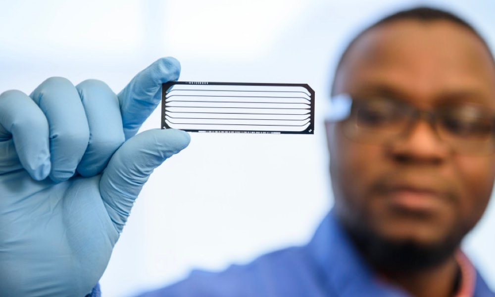Lab tech holding up a slide