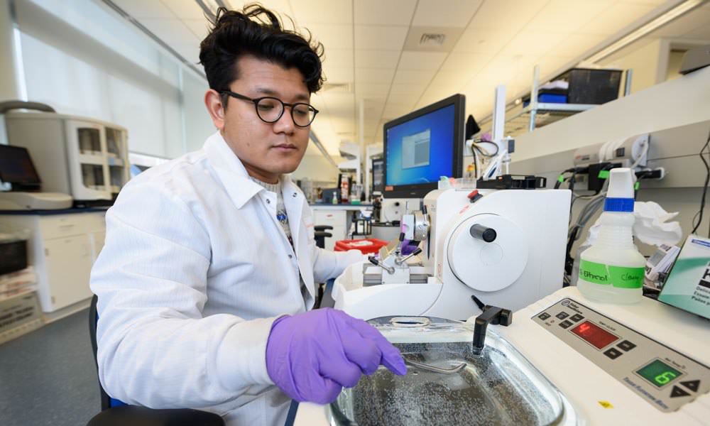 Lab tech places biopsy samples in a water bath