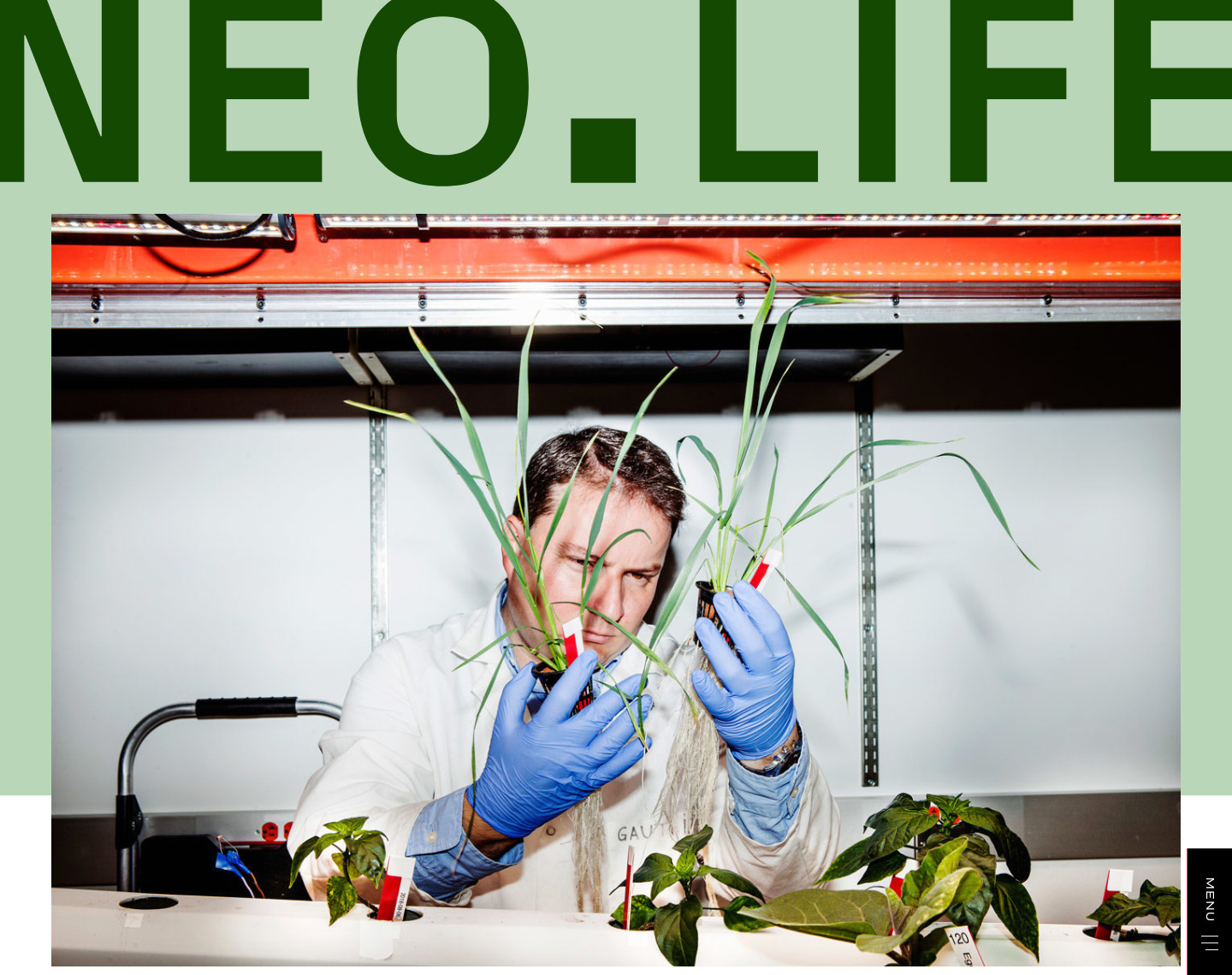 NEOLIFE article topper showcase