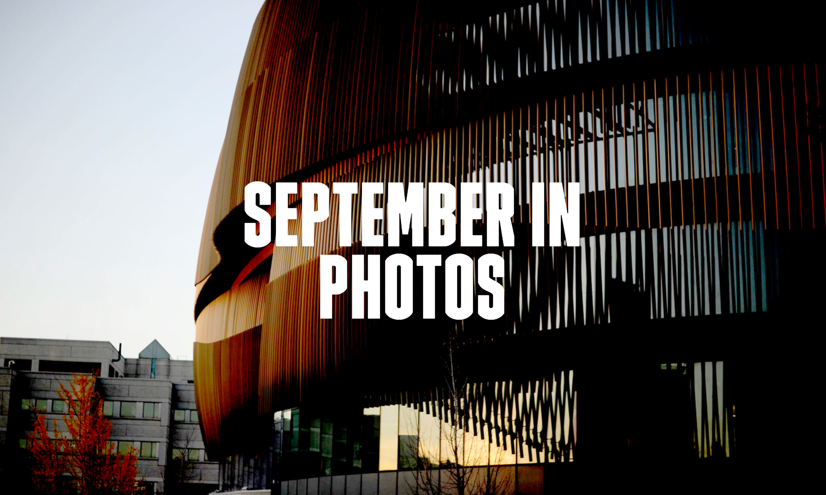 northeastern news featured photos