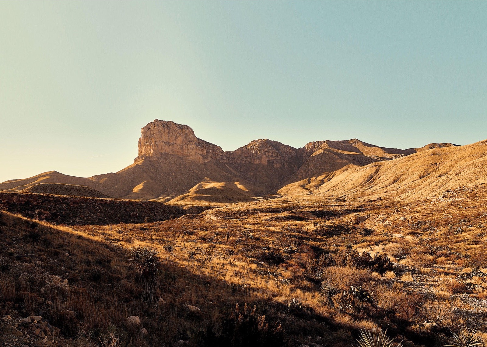 Texas landscape