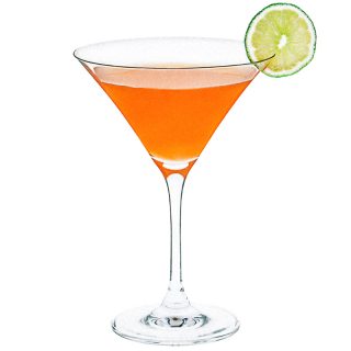 Enlightened Austin Martini