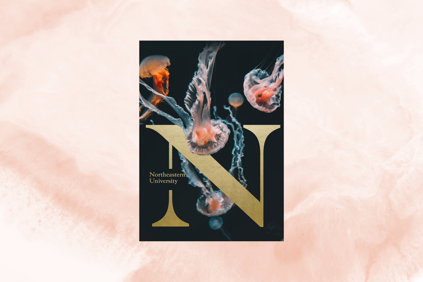 Northeastern University work