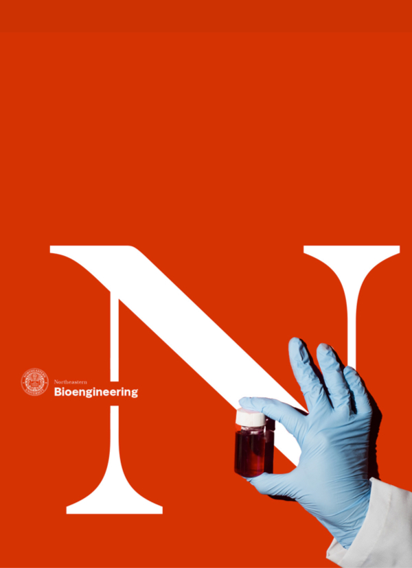 Northeastern University work