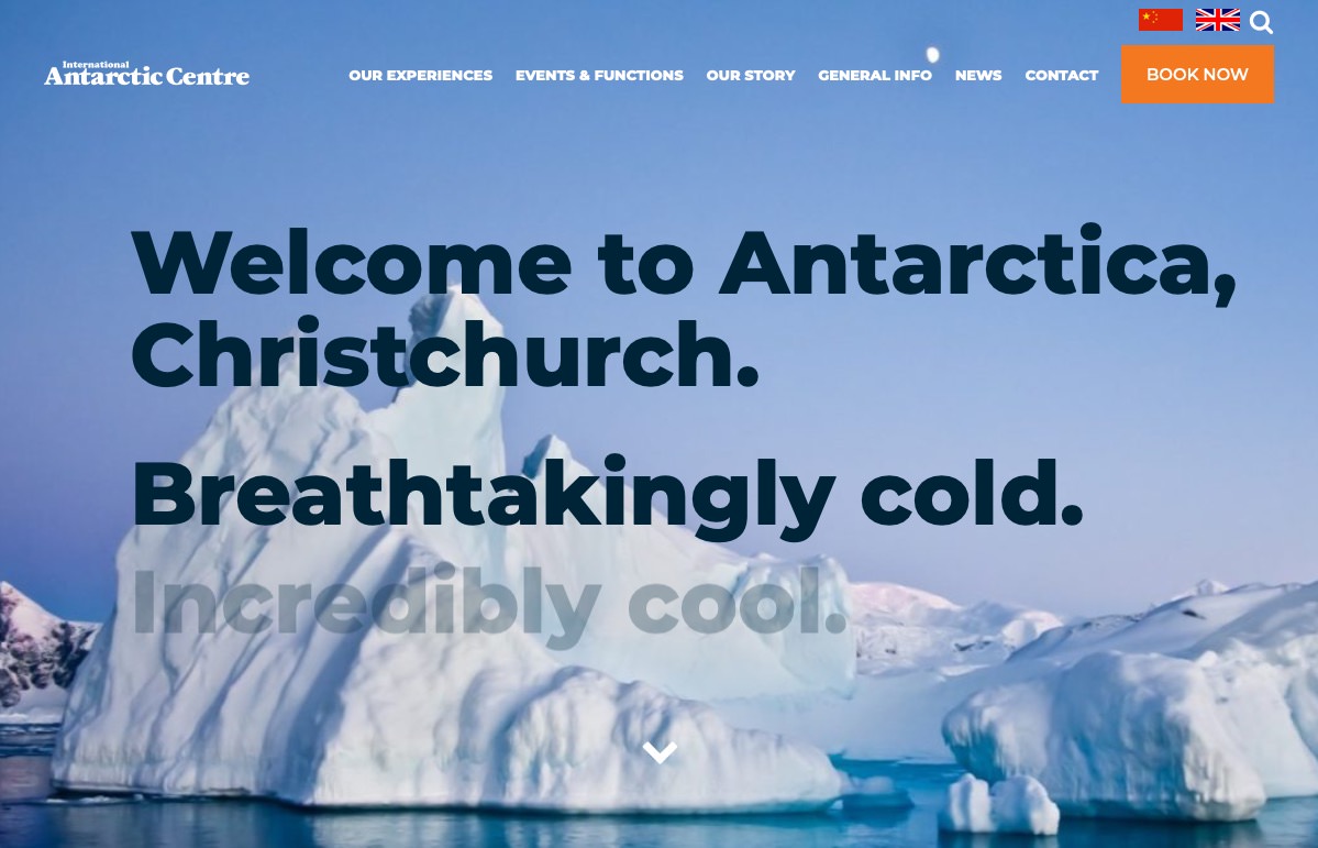International Antarctic Center screenshot